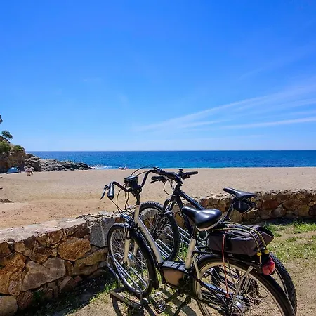 Aparthotel Ciutat De Palol 4*