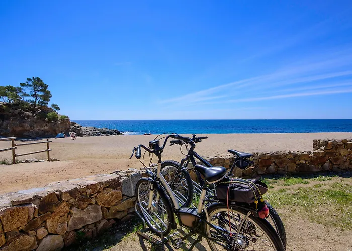 Aparthotel Ciutat De Palol 4*